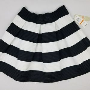 Black & White Striped Flare A-line Pleated Skirt